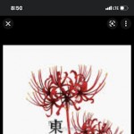 bigdongwong699