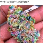 B3GD