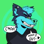 DomandPuppy