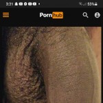 dwightpage