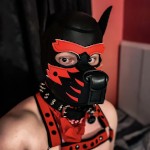 Ziggy_pup