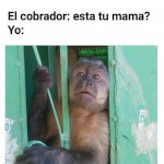 cipotexx