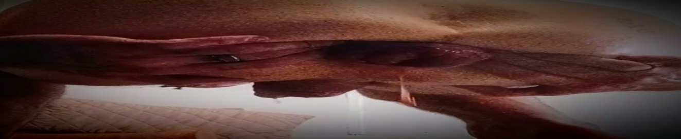 Cum4me706