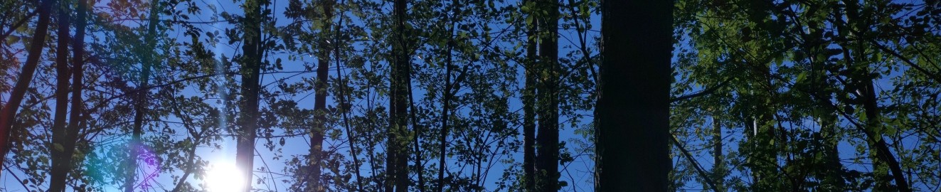 MilostMilost