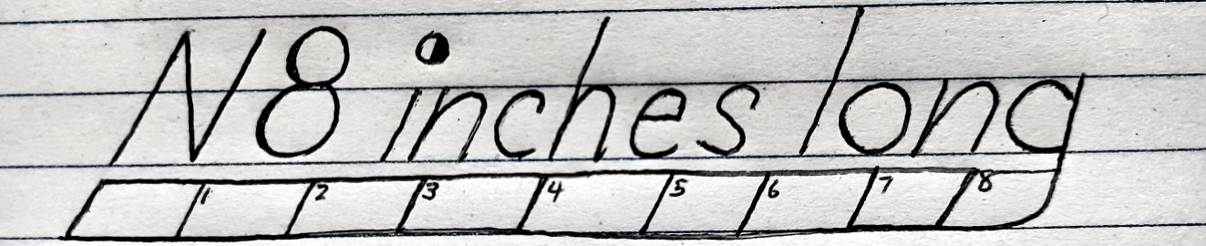 N8incheslong