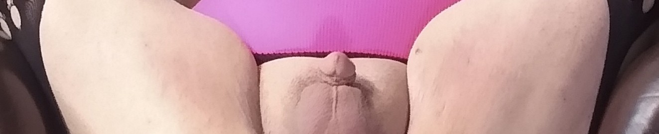 Anita_Dickinme