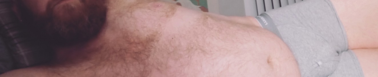 Coloradogingerbear