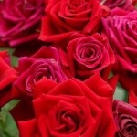 Luvinous38692021