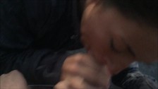 Teen Gives Head In The Car And Then Finishes It Outside Over The Freeway