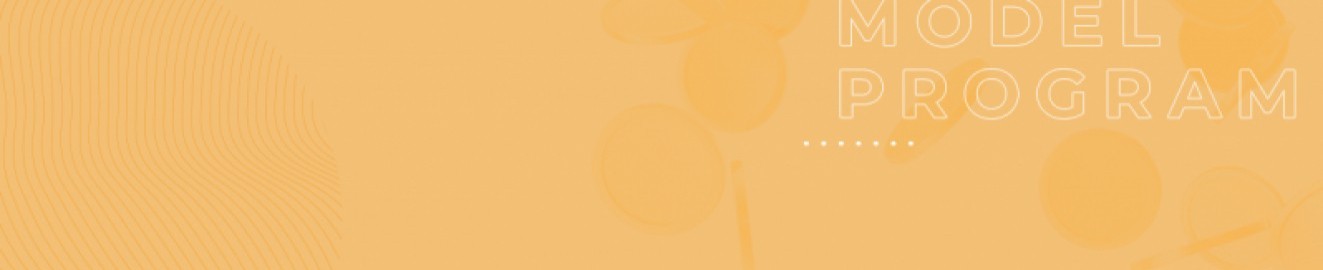 ModelProgram