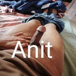 Anit80382