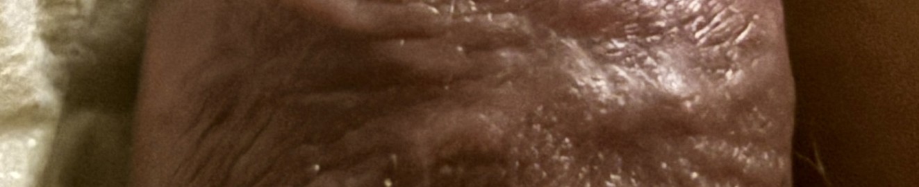 jjg327