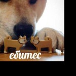 Kinky Femboy Anal Only