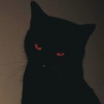 Fuck Tenshi