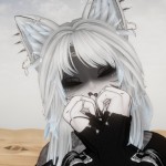 wundervrc