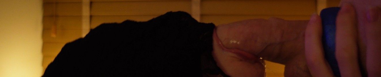 CassandraD0ll