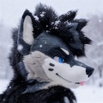 RadarShep