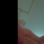 Kush9598