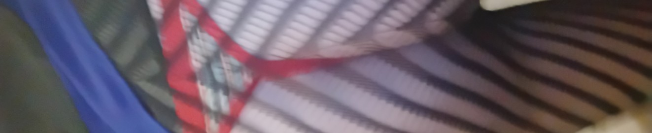 Bisexcd