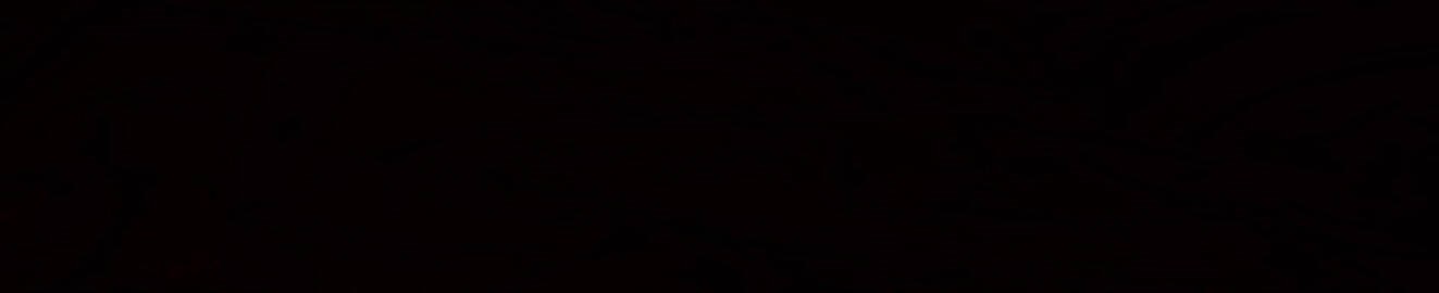 theLearnPoint