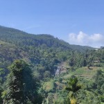 CatarinaLEO