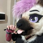 SpiffiTheCatAD