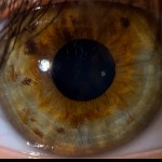 Greeneyesslut