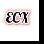 EroticCentaurX