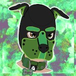Pup Diplo