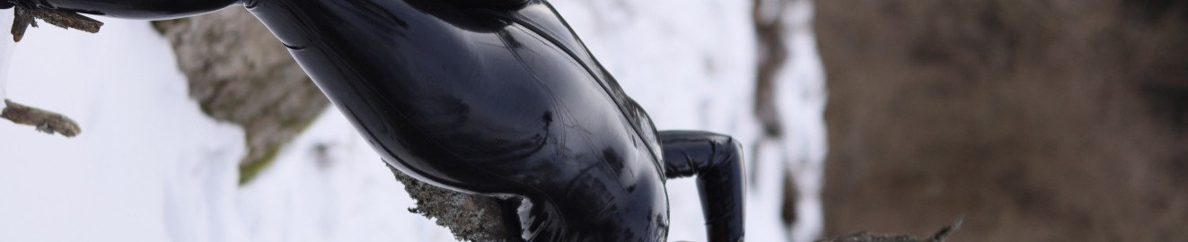 Nordic Latex