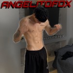 ANGELITOFOX