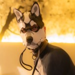 Skalli Wolf