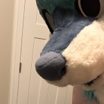 Milo The Wolf