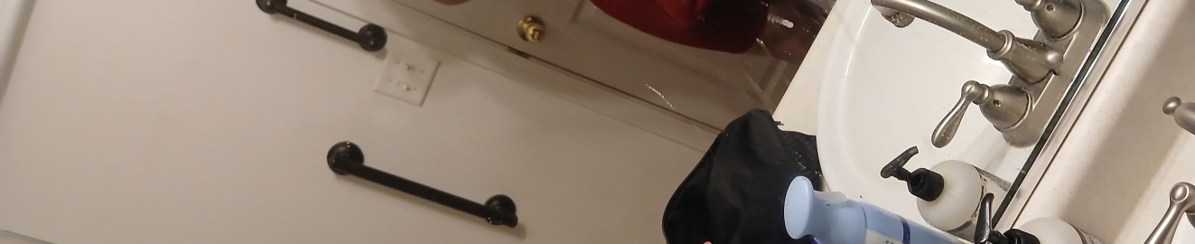 Bryzfly