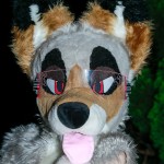 RagnalCoyote