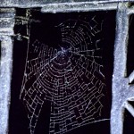 Spidarachne