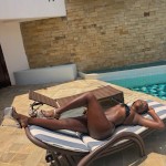 HotMealVee