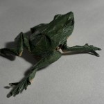 MidwestAmphibian