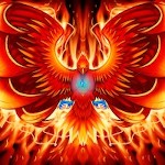 kzapwdtzly