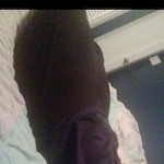 Lex Bunz
