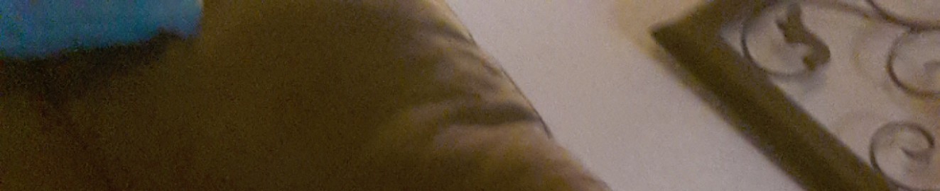 Odronz1