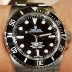 Salamander15