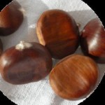 maroskitch92