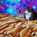 kitten-and-hotdog