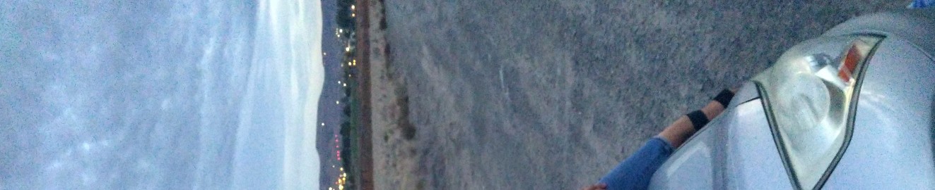 urban_shark