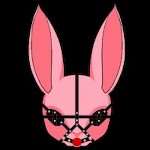 The Bunny Den