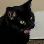 ayooooooooooooooo0