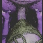 MrDICKMrspussy