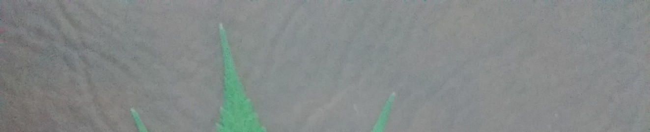 cannacouple420