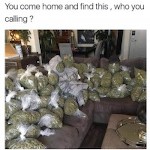 Mikep7922